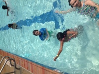 photo 1 (1)