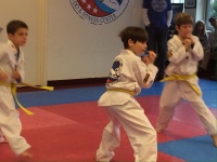 photo-3-copy-2