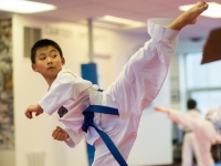 tkd_6473 (1)